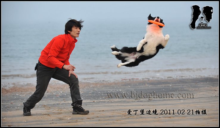 卡卡 【148天照片集锦】