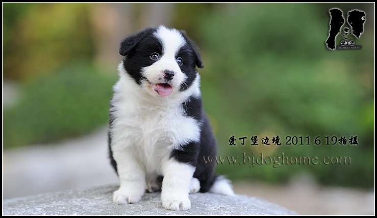 母C1 【38天照片集锦】
