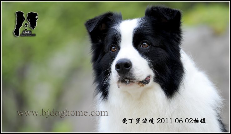 闪电2011年6月2日相册