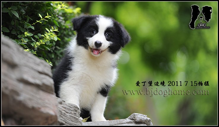 母C1 【64天照片集锦】