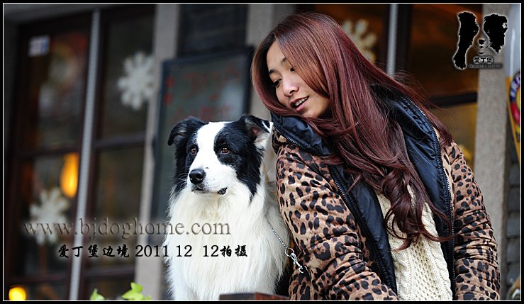 雷诺2011年12月12日相册