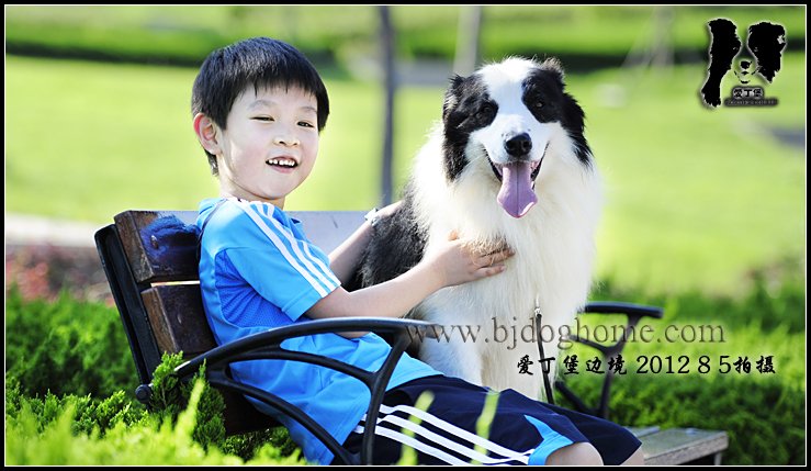雷诺2012年8月5日相册