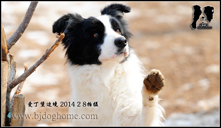 皇后【2014年春】