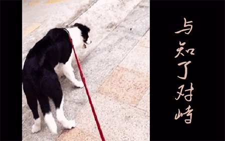 四月：敌不动我不动（中山罗女士）2017/7/10