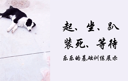 乐乐的基础训练（南昌章先生）2017/1/18