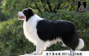 雷克萨斯