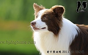 海风腾