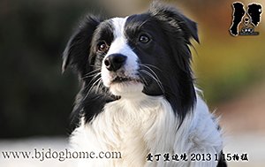 香香