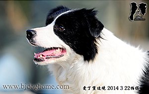 二宝