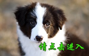 感谢烟台蒲女士已购买 奥莉