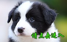 感谢烟台蒲女士已购买 奥莉