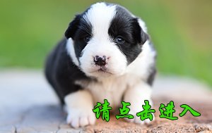 感谢烟台蒲女士已购买 奥莉