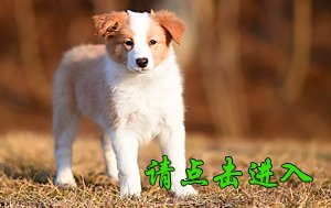 感谢无锡杭先生第二次选购 卡秋 母A1