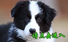 卡秋 母A3