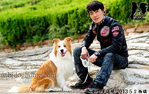 感谢福建林先生已购买 哈雷