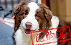 感谢山西王先生第三次购买 科瑞斯