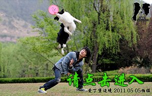 感谢江苏王先生已购买 卡卡