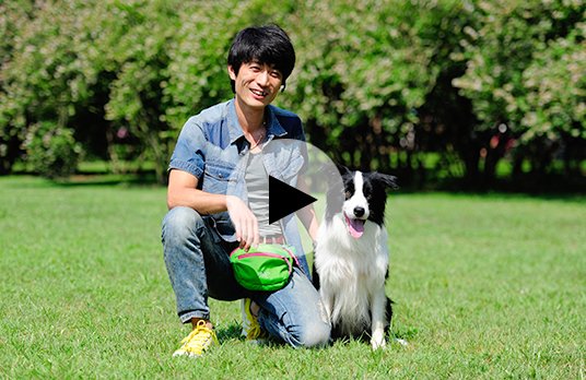 爱丁堡边境牧羊犬精彩视频