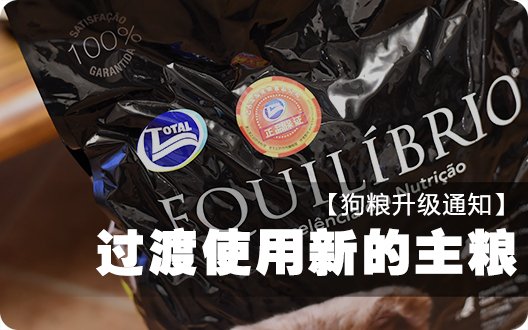 【狗粮升级通知】 爱丁堡开始过渡使用新的主粮