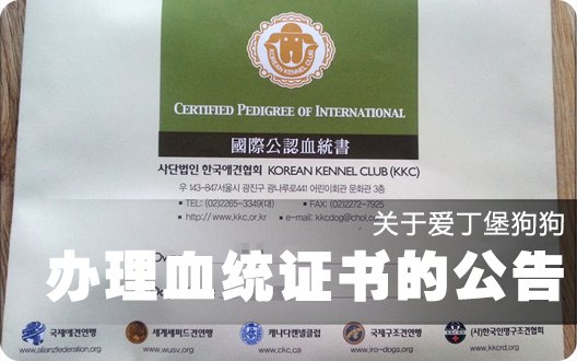 关于爱丁堡狗狗血统证书办理公告