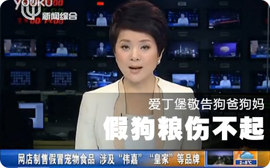 爱丁堡敬告狗爸狗妈：假狗粮伤不起！（2015年1月21日）