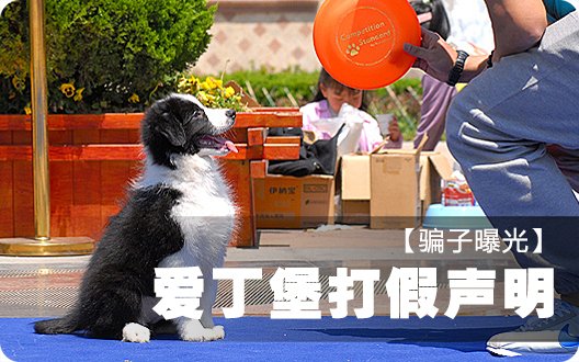 ★★→爱丁堡打假声明←★★