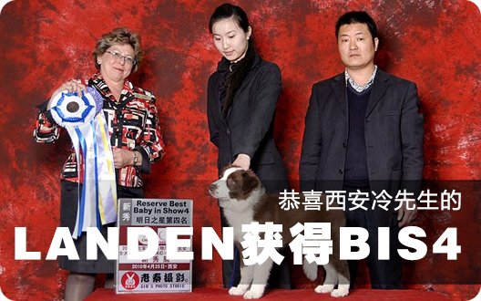 恭喜西安冷先生的LANDEN获得BIS4（2010年4月25日）