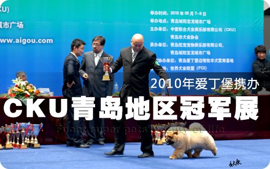 2010年爱丁堡携办CKU青岛地区冠军展（2010年5月7日）
