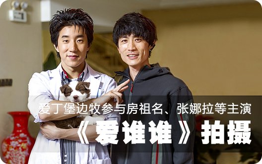 爱丁堡边牧参与房祖名、张娜拉等主演《爱谁谁》拍摄（2012年5月11日）