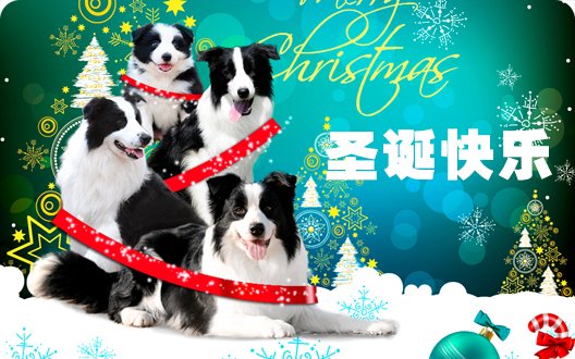 【爱丁堡祝福】圣诞节快乐！！