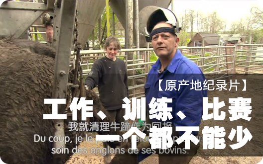 【原产地纪录片】工作、训练、比赛一个都不能少