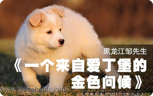 《一个来自爱丁堡的金色问候》--黑龙江邹先生