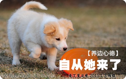 【养边心德】自从她来了(2015年1月12日)
