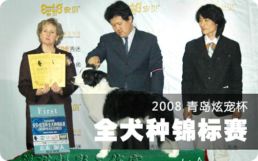 2008 青岛炫宠杯全犬种锦标赛（2008年3月30日）
