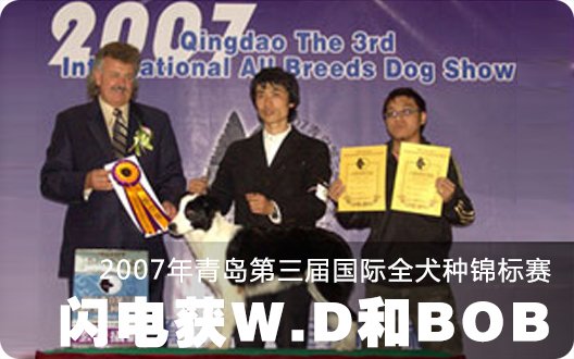 2007年青岛第三届国际全犬种锦标赛闪电获W.D和BOB