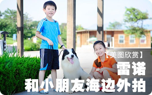 边境牧羊犬雷诺和小朋友海边外拍