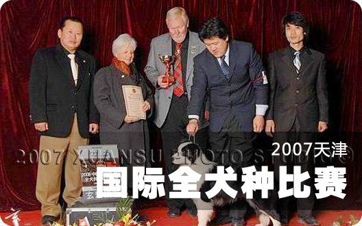 2007天津国际全犬种比赛