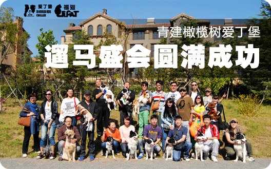 青建橄榄树爱丁堡中秋国庆遛马盛会圆满成功(2012-10-1)