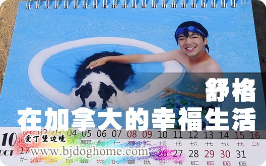 ◆◇舒格在加拿大的幸福生活◇◆（2011年9月29）