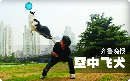 ●◎齐鲁晚报——空中飞犬◎●（爱丁堡第三次上报纸）（2011年5月10日）