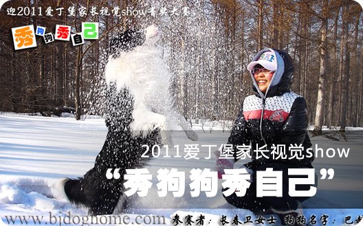 “秀狗狗秀自己”迎2011爱丁堡家长视觉show有奖大赛 (2010年12月27日）