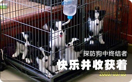 ❤❤转载--探防狗中终结者--快乐并收获着❤❤