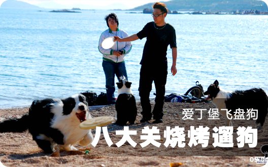 爱丁堡飞盘狗 八大关烧烤遛狗（2009年4月6日）