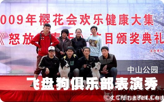 ★☆→中山公园 爱丁堡飞盘狗俱乐部表演秀←☆★（2009年4月18日）
