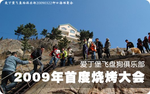 爱丁堡飞盘狗俱乐部09年首度烧烤大会精彩再现〓★〓（2009年3月22日）