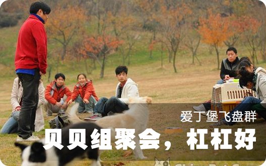 爱丁堡飞盘群贝贝组聚会，杠杠好
