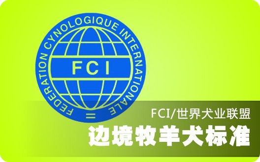 边境牧羊犬世界犬业联盟标准（FCI）
