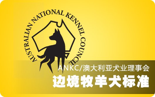边境牧羊犬澳大利亚标准（ANKC）
