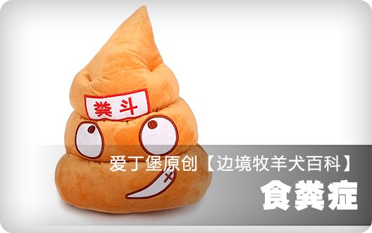 ■□边境牧羊犬百科——食粪症□■
