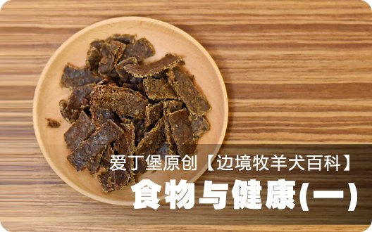 ■□边境牧羊犬百科——食物与健康(一)□■【爱丁堡原创，转载请注明】